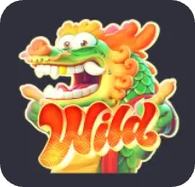 Wild Dragon symbol